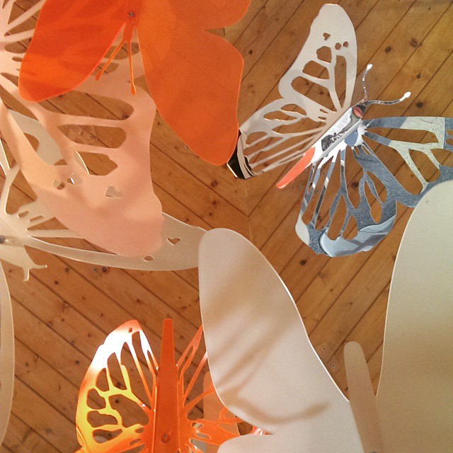 Butterflies at Riverside - from Instagram
